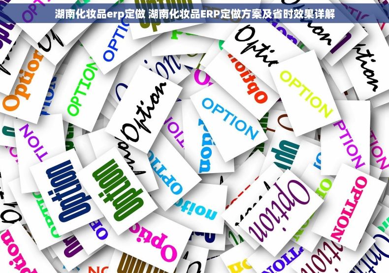湖南化妆品erp定做 湖南化妆品ERP定做方案及省时效果详解