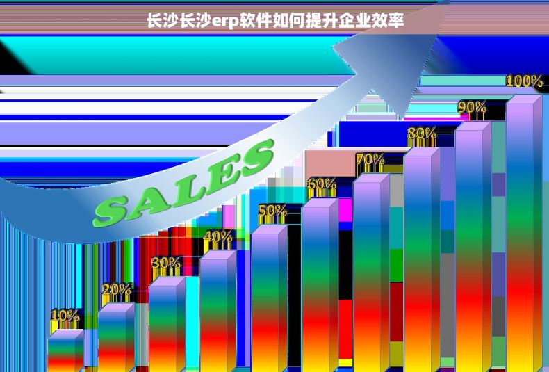 长沙长沙erp软件如何提升企业效率