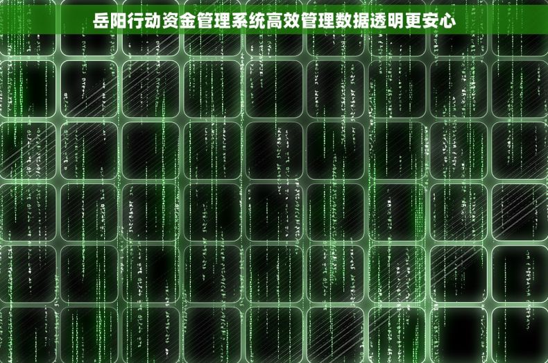 岳阳行动资金管理系统高效管理数据透明更安心
