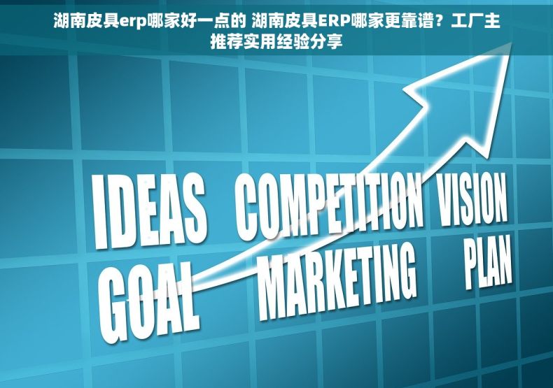 湖南皮具erp哪家好一点的 湖南皮具ERP哪家更靠谱？工厂主推荐实用经验分享