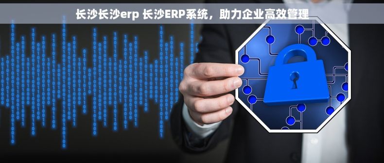 长沙长沙erp 长沙ERP系统，助力企业高效管理