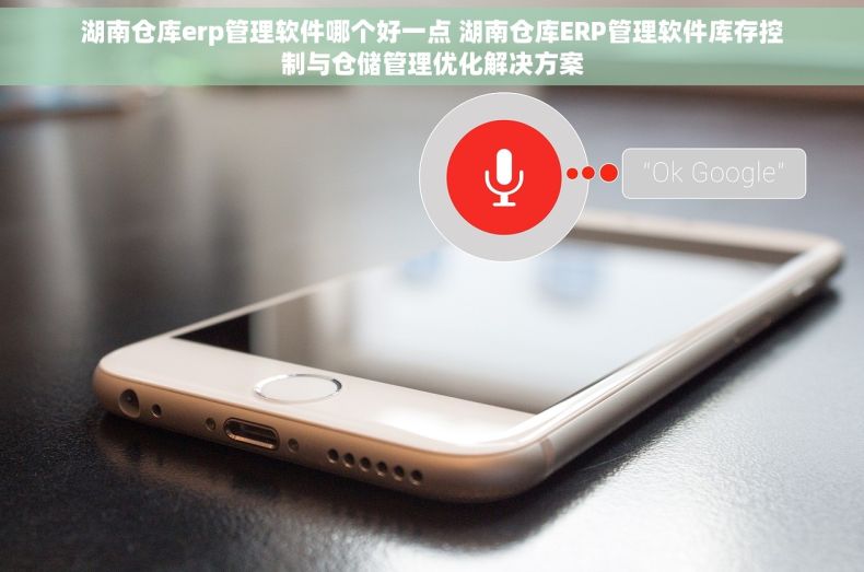 湖南仓库erp管理软件哪个好一点 湖南仓库ERP管理软件库存控制与仓储管理优化解决方案