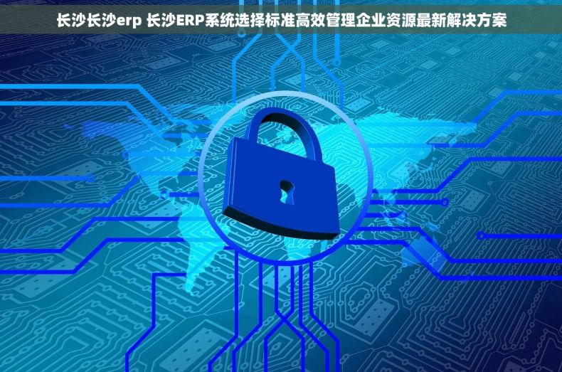 长沙长沙erp 长沙ERP系统选择标准高效管理企业资源最新解决方案