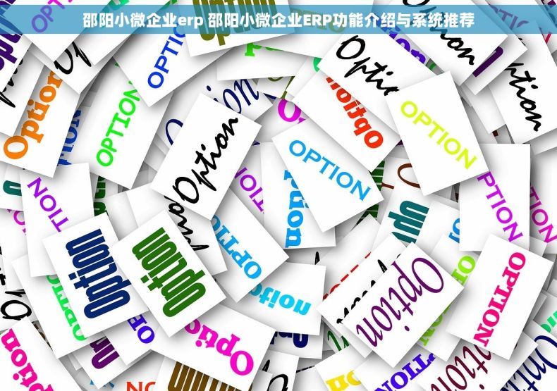邵阳小微企业erp 邵阳小微企业ERP功能介绍与系统推荐