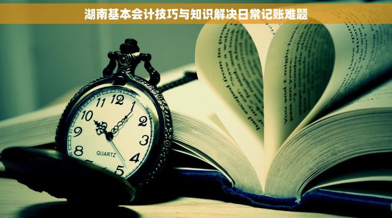 湖南基本会计技巧与知识解决日常记账难题