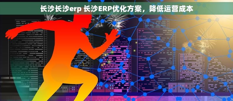 长沙长沙erp 长沙ERP优化方案，降低运营成本