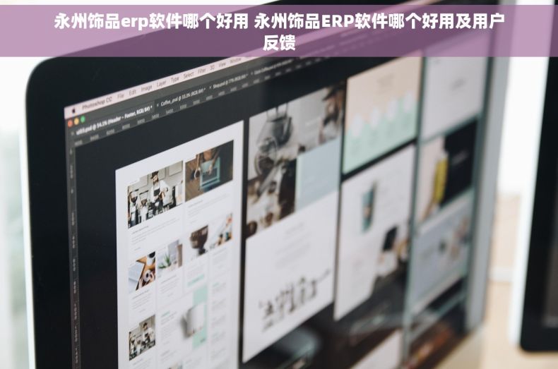 永州饰品erp软件哪个好用 永州饰品ERP软件哪个好用及用户反馈