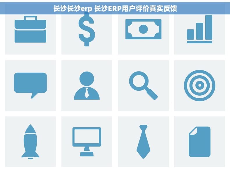 长沙长沙erp 长沙ERP用户评价真实反馈