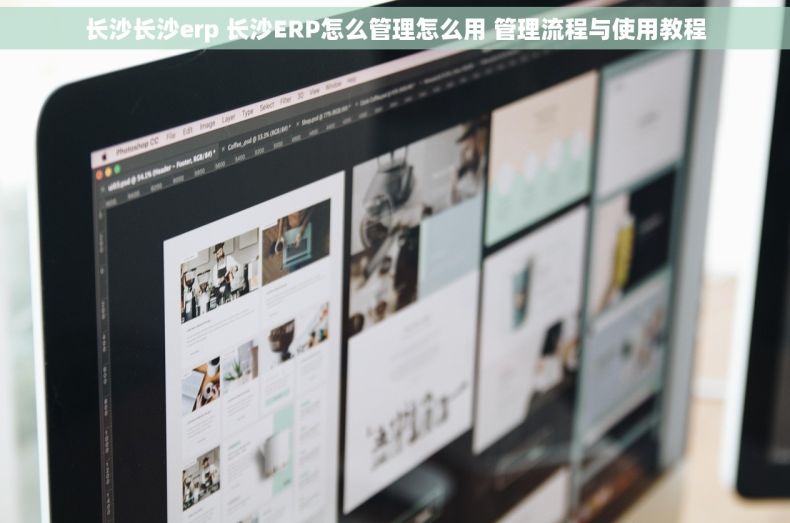 长沙长沙erp 长沙ERP怎么管理怎么用 管理流程与使用教程