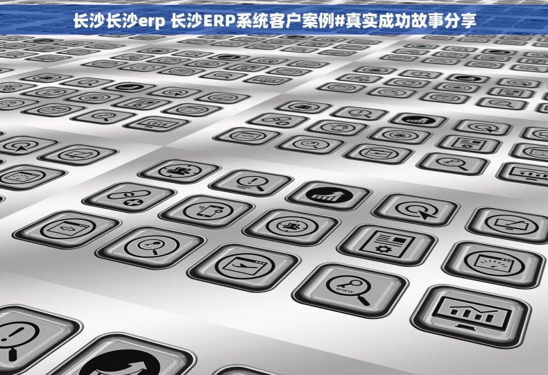 长沙长沙erp 长沙ERP系统客户案例#真实成功故事分享