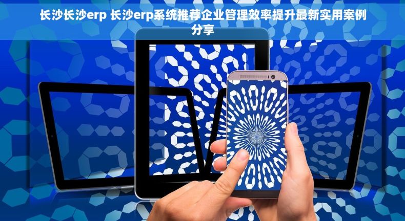 长沙长沙erp 长沙erp系统推荐企业管理效率提升最新实用案例分享