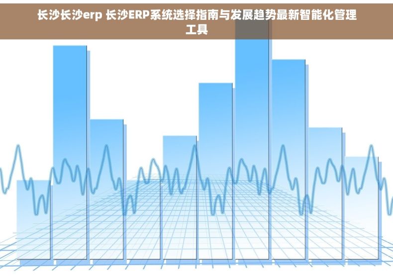 长沙长沙erp 长沙ERP系统选择指南与发展趋势最新智能化管理工具