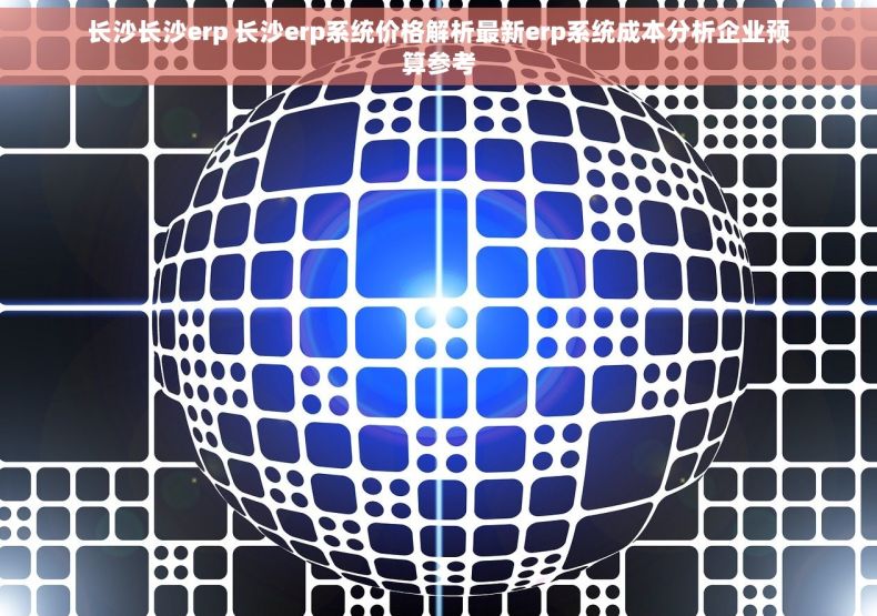 长沙长沙erp 长沙erp系统价格解析最新erp系统成本分析企业预算参考