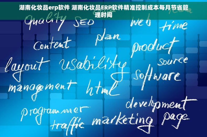 湖南化妆品erp软件 湖南化妆品ERP软件精准控制成本每月节省管理时间