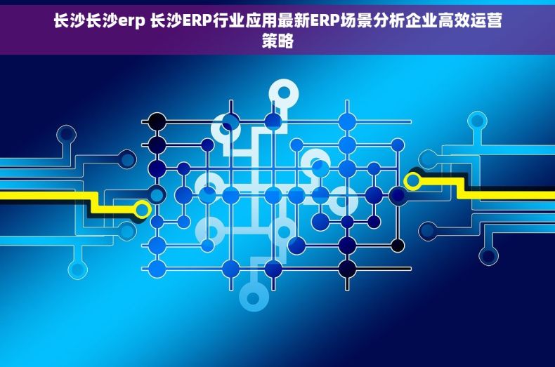 长沙长沙erp 长沙ERP行业应用最新ERP场景分析企业高效运营策略
