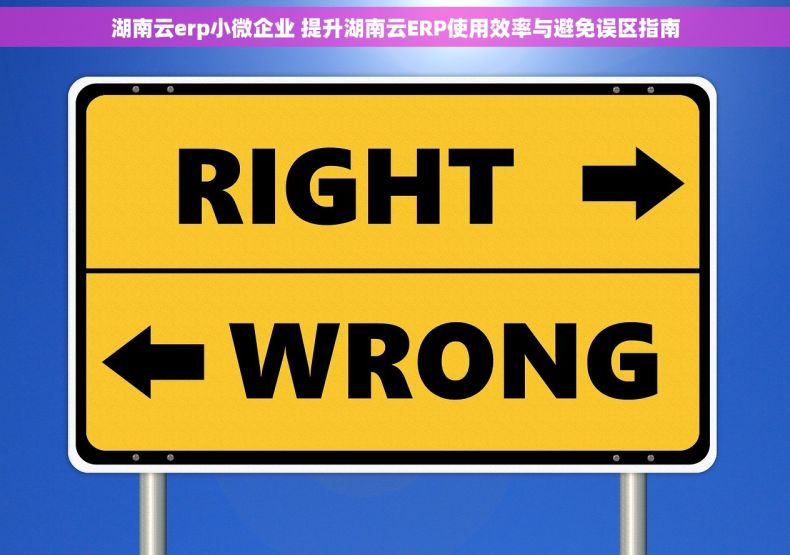 湖南云erp小微企业 提升湖南云ERP使用效率与避免误区指南