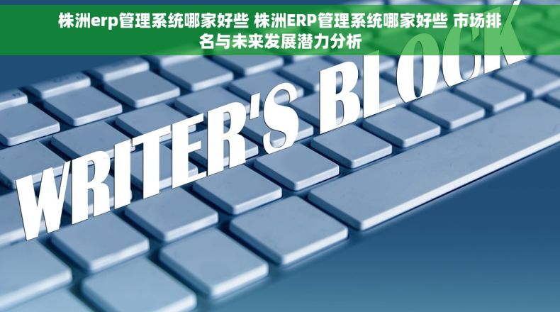 株洲erp管理系统哪家好些 株洲ERP管理系统哪家好些 市场排名与未来发展潜力分析