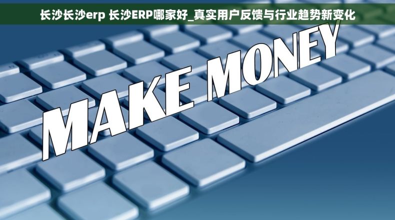 长沙长沙erp 长沙ERP哪家好_真实用户反馈与行业趋势新变化
