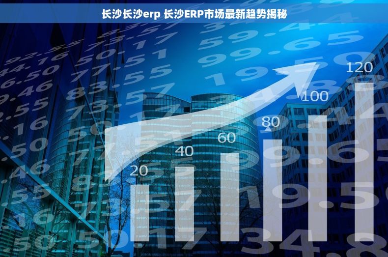 长沙长沙erp 长沙ERP市场最新趋势揭秘