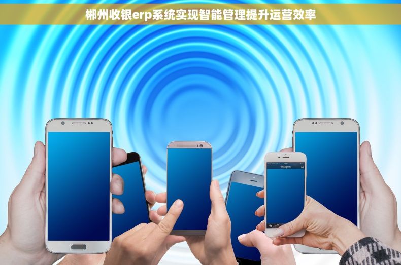 郴州收银erp系统实现智能管理提升运营效率