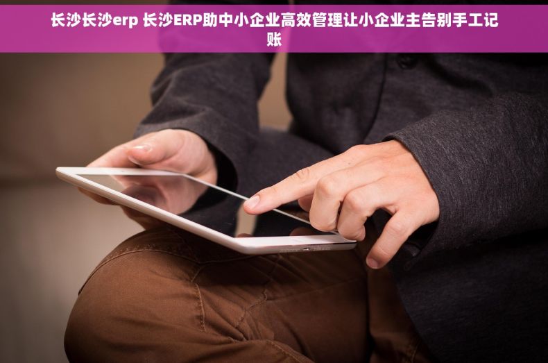 长沙长沙erp 长沙ERP助中小企业高效管理让小企业主告别手工记账