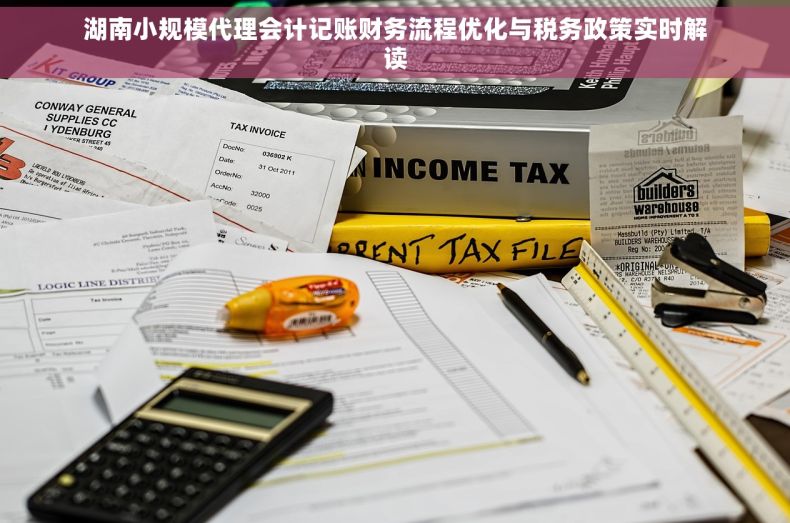 湖南小规模代理会计记账财务流程优化与税务政策实时解读