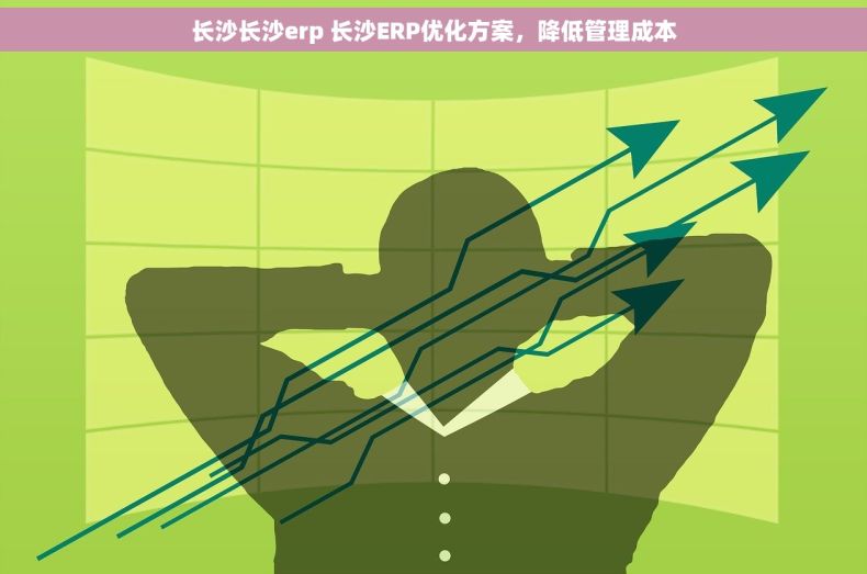 长沙长沙erp 长沙ERP优化方案，降低管理成本
