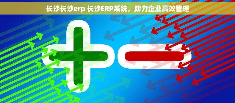 长沙长沙erp 长沙ERP系统，助力企业高效管理