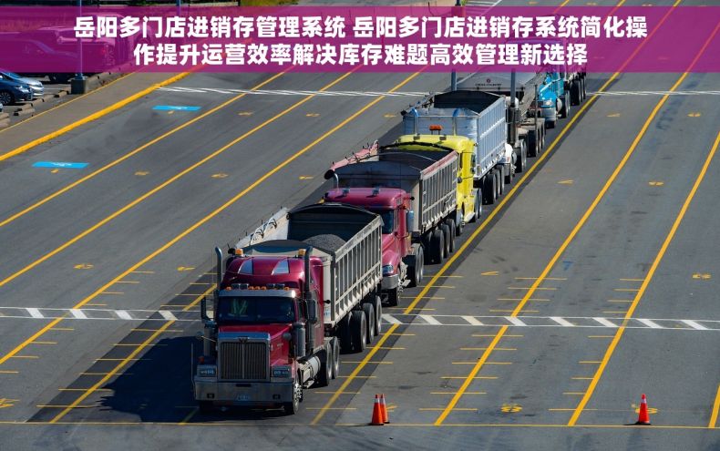 岳阳多门店进销存管理系统 岳阳多门店进销存系统简化操作提升运营效率解决库存难题高效管理新选择