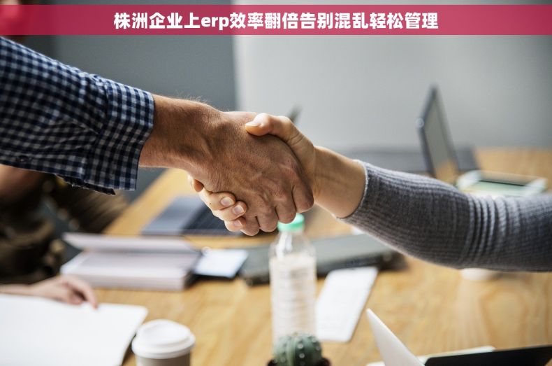株洲企业上erp效率翻倍告别混乱轻松管理