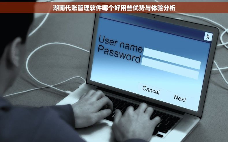 湖南代账管理软件哪个好用些优势与体验分析
