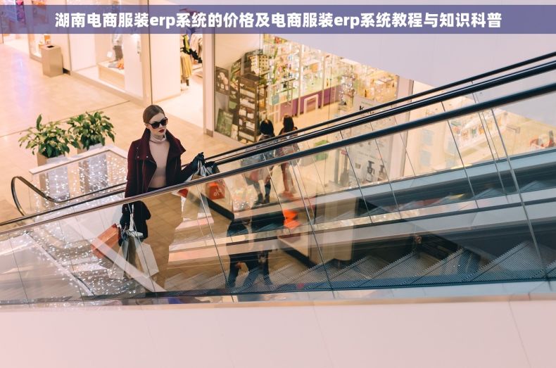 湖南电商服装erp系统的价格及电商服装erp系统教程与知识科普