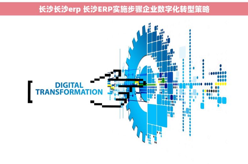 长沙长沙erp 长沙ERP实施步骤企业数字化转型策略