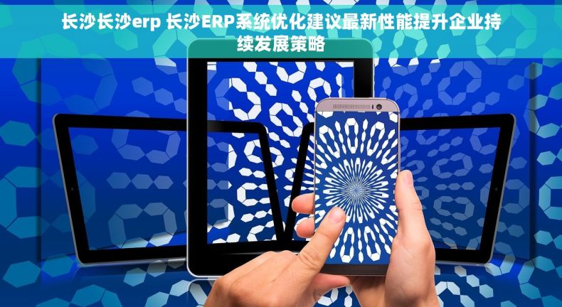 长沙长沙erp 长沙ERP系统优化建议最新性能提升企业持续发展策略