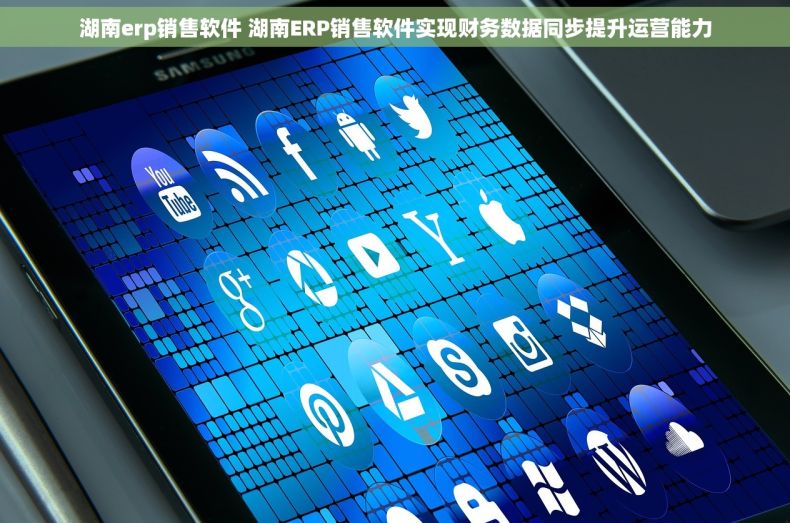 湖南erp销售软件 湖南ERP销售软件实现财务数据同步提升运营能力