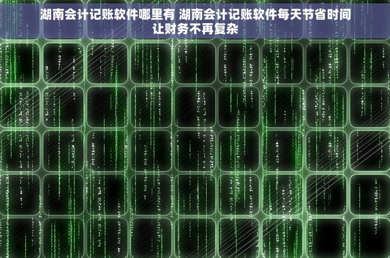 湖南会计记账软件哪里有 湖南会计记账软件每天节省时间让财务不再复杂