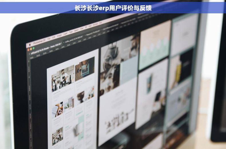 长沙长沙erp用户评价与反馈