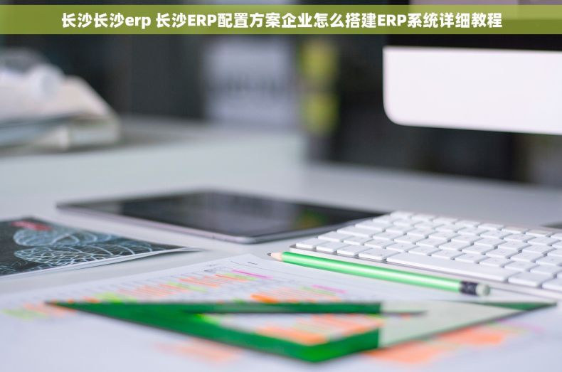 长沙长沙erp 长沙ERP配置方案企业怎么搭建ERP系统详细教程