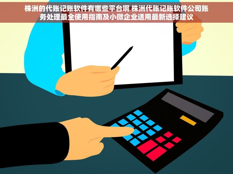 株洲的代账记账软件有哪些平台啊 株洲代账记账软件公司账务处理最全使用指南及小微企业适用最新选择建议
