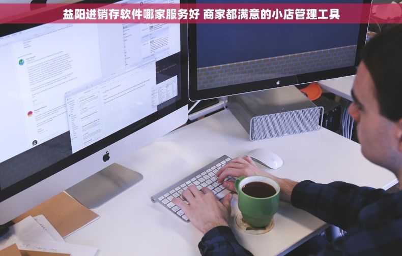 益阳进销存软件哪家服务好 商家都满意的小店管理工具