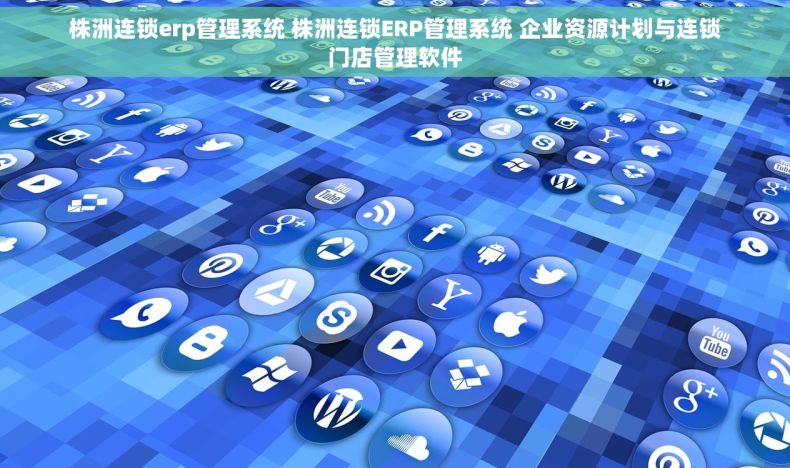 株洲连锁erp管理系统 株洲连锁ERP管理系统 企业资源计划与连锁门店管理软件