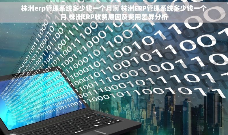 株洲erp管理系统多少钱一个月啊 株洲ERP管理系统多少钱一个月 株洲ERP收费原因及费用差异分析