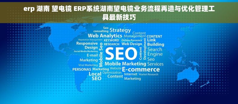 erp 湖南 望电镜 ERP系统湖南望电镜业务流程再造与优化管理工具最新技巧
