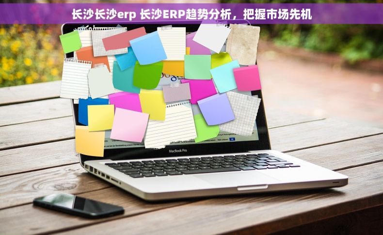 长沙长沙erp 长沙ERP趋势分析，把握市场先机