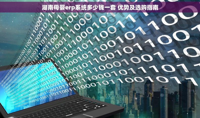 湖南母婴erp系统多少钱一套 优势及选购指南