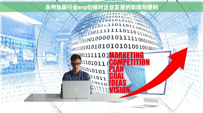 永州包装行业erp价格对企业发展的影响与便利