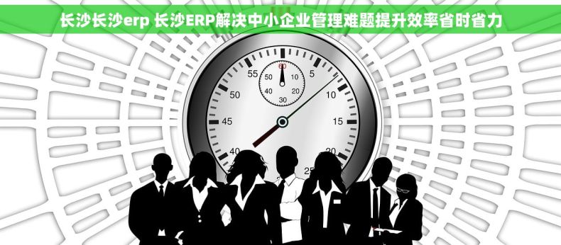 长沙长沙erp 长沙ERP解决中小企业管理难题提升效率省时省力