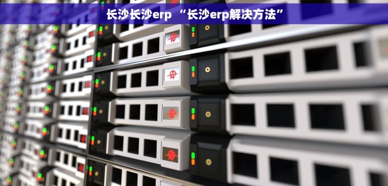 长沙长沙erp “长沙erp解决方法”