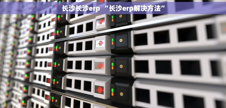 长沙长沙erp “长沙erp解决方法”