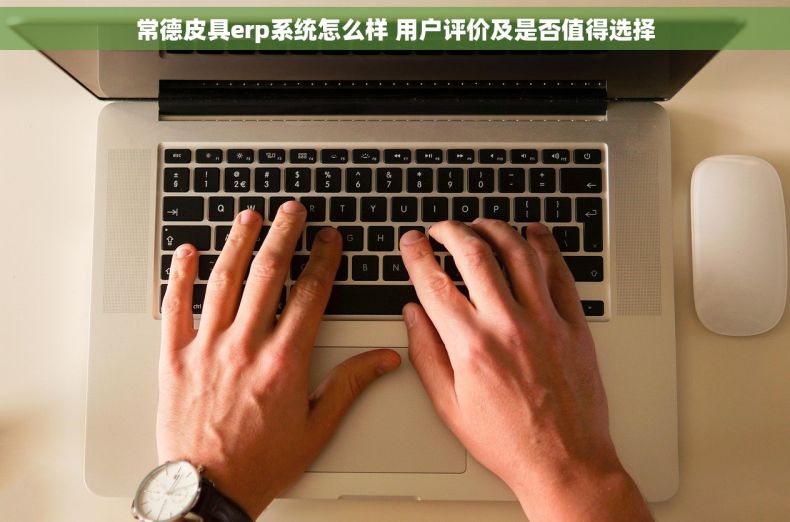 常德皮具erp系统怎么样 用户评价及是否值得选择
